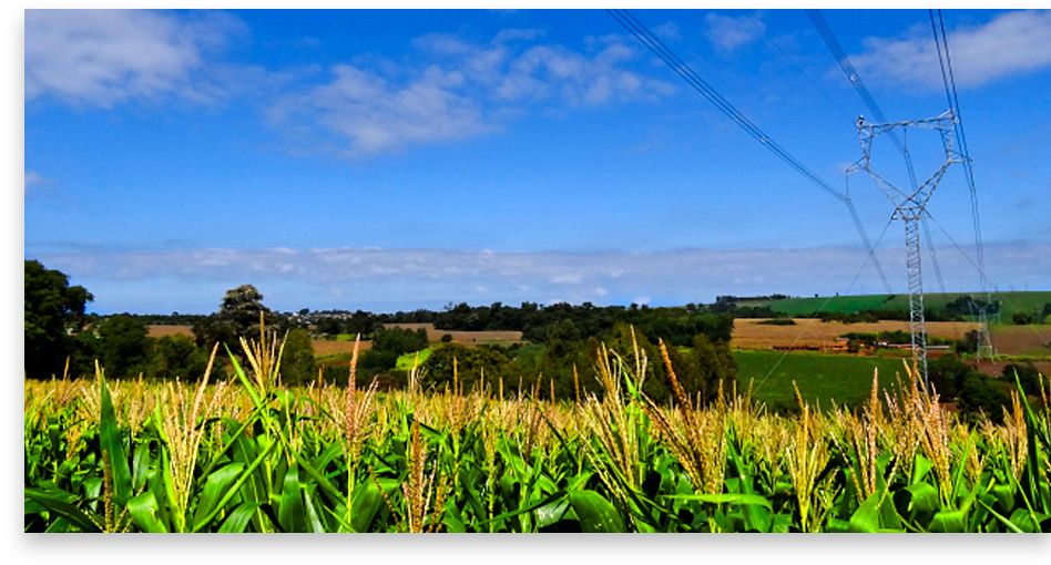 banner1.jpg